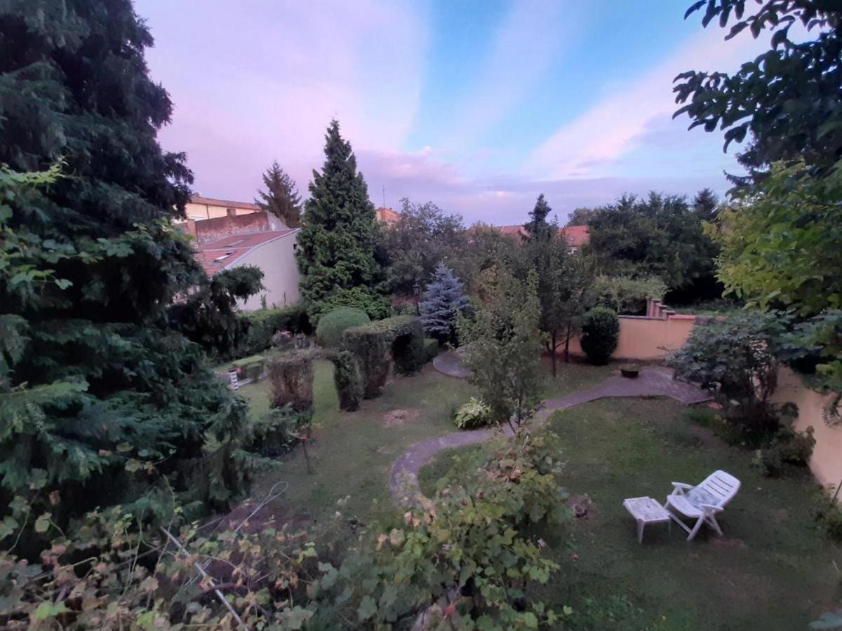 Апартаменты Cocic Garden Осиек Экстерьер фото