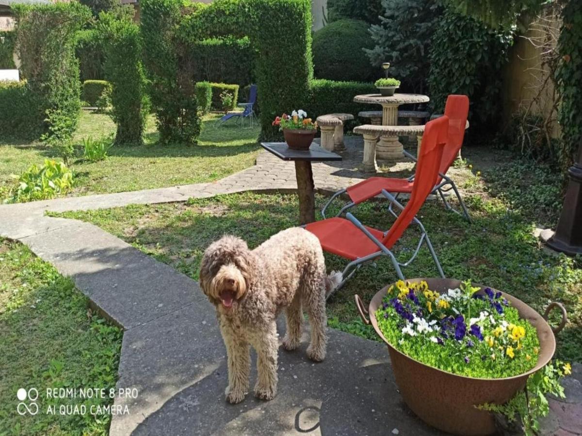 Апартаменты Cocic Garden Осиек Экстерьер фото